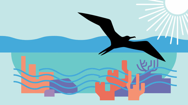 A beautiful flat vector illustration depicting a professional and artistic scene of a frigatebird in a beautifully detailed frigatebird or large seabird flying high above a blue ocean with coral reef.