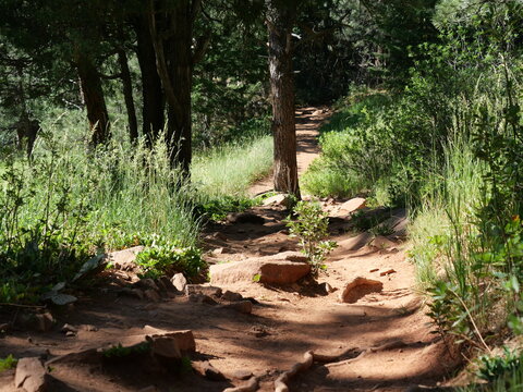 Rocky Hiking Trail Through Ponderosa Pine Forest on Mallory Cave Trail in Boulder Colorado