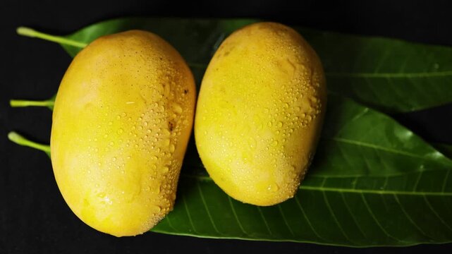 organic Hapus mango harvest featuring fresh tropical fruits and natural texture details