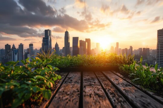 Urban rooftop garden city skyline sunset sky wooden deck green plant skyline view rooftop terrace urban landscape golden light modern building