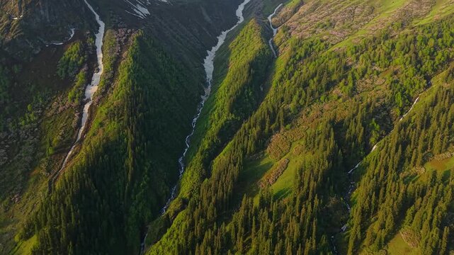 Aerial view of forested Himalayan ridges and snow fed streams in a steep alpine valley along the Sar Pass Trek route near Grahan Village, Sosan, and Kasol in Himachal Pradesh, India.