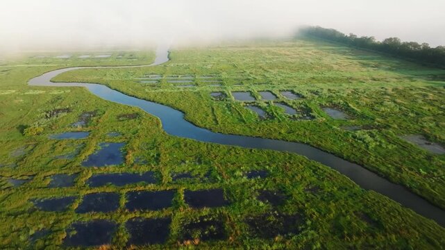 Goa's coastal river meanders through lush green agricultural fields with flooded rectangular plots and wetland vegetation. Smooth aerial reveals the serpentine waterway passing through goa backwaters.