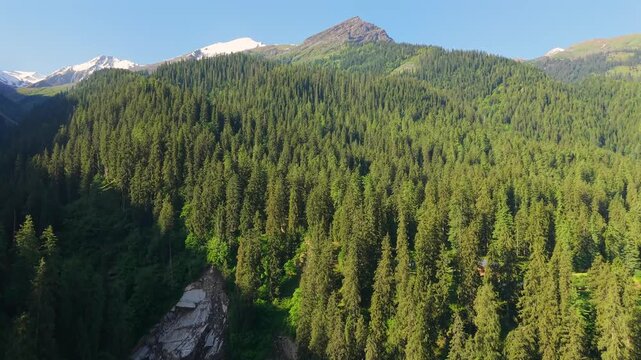 Himalayan mountains covered in dense conifer forests along the Sar Pass Trek route near Grahan Village, Sosan, and Kasol in Himachal Pradesh, India. Ascending smooth aerial shot