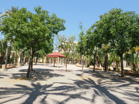Sunny palm trees in a green park in Alicante, Spain