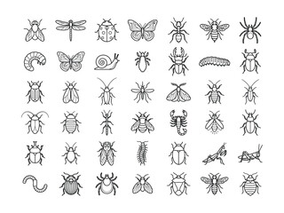 Black and white line drawing illustrations of various insects on white background © ABDULLAH