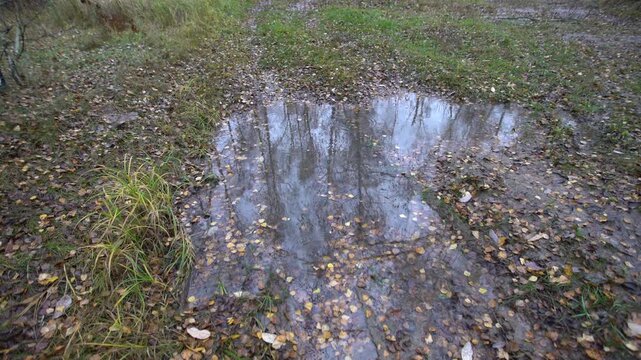 A muddy path shows water pooling after rain. Trees and blue sky reflect in the water under cloudy sky in autumn afternoon.