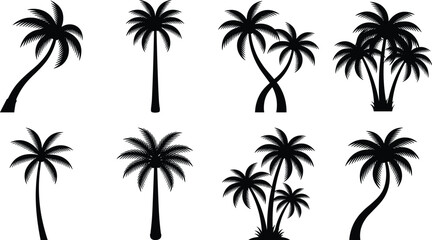 Obraz premium Set of black silhouettes of tropical palm trees isolated on white background, summer coconut tree vector icons