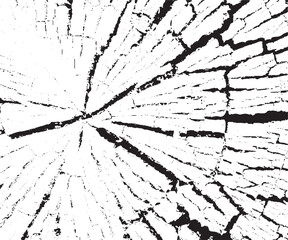 Fototapeta premium Detailed black and white close up view of cracked dry wood grain texture pattern design