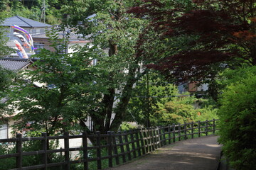 Obraz premium 鯉のぼりのある風景