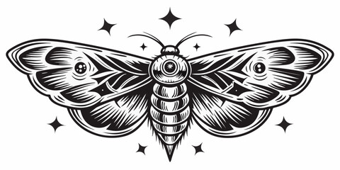 Detailed Moth Illustration With Stars Black And White Vector Graphic © Raben