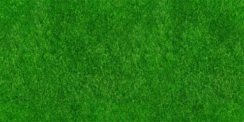 Fototapeten Grün A close-up shot showcases the vibrant, lush green texture of a manicured lawn, highlighting the dense blades of grass in sharp focus.  © LumenCraft