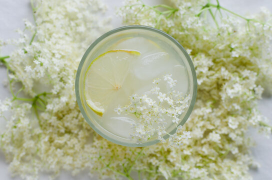 Glass with elderberry drink and lemon slices, ice and elderflowers on a light background. Summer drink concept.
