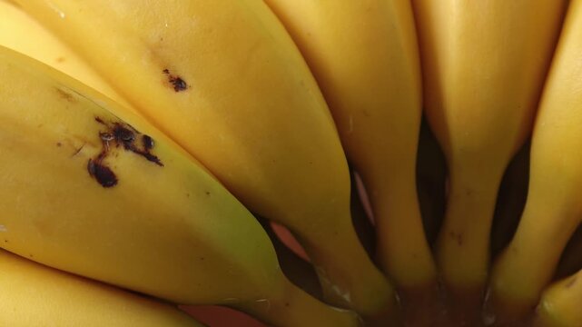 Close-up of a ripe banana. Dolly shot.	
