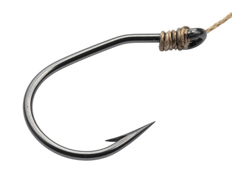 Fishing hook Isolated on Transparent or White Background
