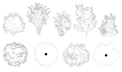 Pack of trees in elevation and plan view for use in architectural drawings - isolated on transparent background © Manon