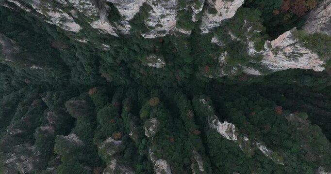 Landscape in Zhangjiajie National Forest Park, China