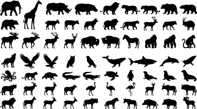 Wild animals and marine life mega black silhouette vector icon set for zoo educational school textbook commercial graphic layout design