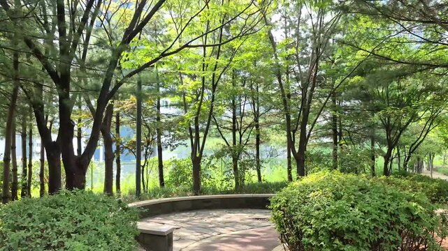 walk in the park