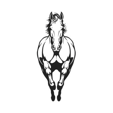Powerful chestnut horse galloping forward dynamic equine illustration on white background