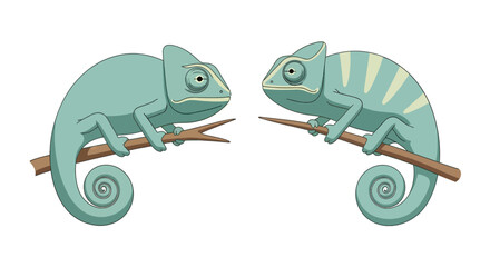 Two blue chameleons perched on branches facing each other © cintya