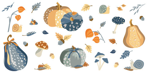 Autumn Harvest Clipart Set – Pumpkins, Pear, Mushrooms, Acorns, Leaves and Cozy Fall Elements Vector Collection © Olia
