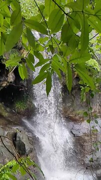 Waghbil cave waterfall or Tiger's cave waterfall in slow motion at near Mumbai, Maharashtra