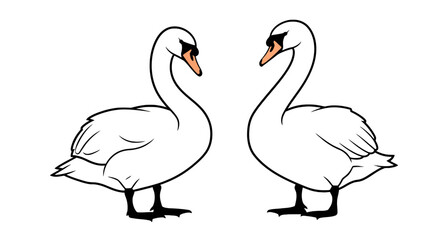 Pair of white swans standing face to face © fernanda