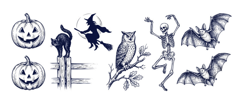 Halloween vintage engraving vector set featuring spooky hand drawn sketch elements of jack o lantern pumpkins, flying witch, dancing skeleton, black cat, owl, and line art bats isolated on white paper