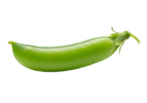 Fresh green pea pod isolated on transparent background