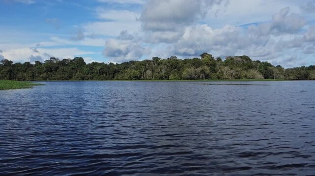 calm waters of Juma River in flooded Amazon rainforest, rainy season. Near Manaus, Brazil