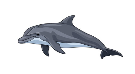 Sleek grey dolphin swimming gracefully across white background © lamiring