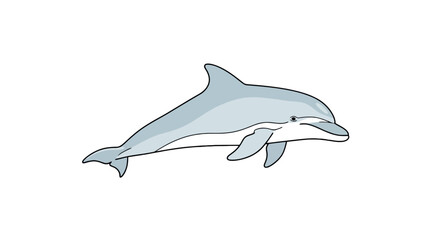 Friendly dolphin swimming in the ocean © lamiring