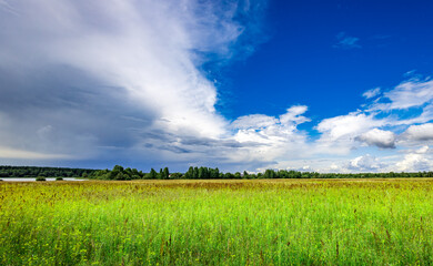 Obraz premium Lush green meadow under dramatic sky with scattered clouds and distant treeline