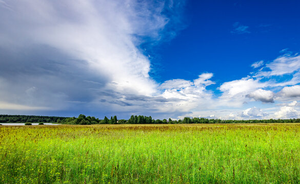 Lush green meadow under dramatic sky with scattered clouds and distant treeline