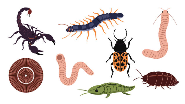 A diverse collection of eight cartoon invertebrates, including a scorpion, centipede, millipede, beetle, worms, woodlouse, and a leech-like creature.