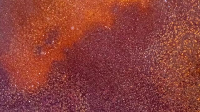 Slow Pan Across Abstract Iron Oxide Surface Texture with Fine Rust Patterns in 4K
