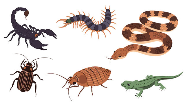 Diverse collection of insects and reptiles, showcasing a scorpion, centipede, snake, beetle, cockroach, and lizard, representing varied wildlife.