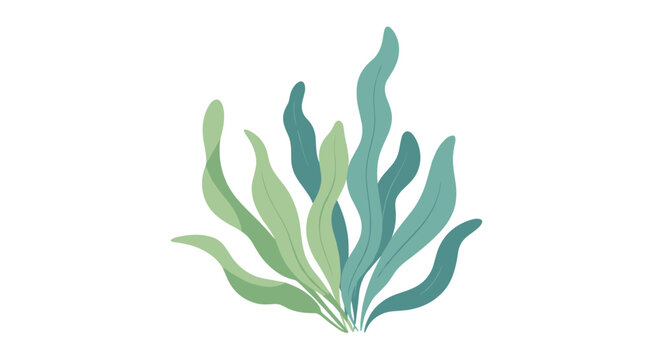 Delicate green and teal underwater seaweed plant fronds represent marine biological vegetation on white background.