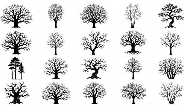 Black leafless tree silhouette collection for winter forest vector design