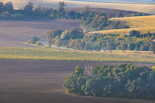 View of rolling agricultural hills and a winding road lined with trees under soft morning light in Nasedlovice, Jihomoravsky kraj, Czechia.