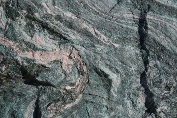 Naklejka premium Quartzitic schist metamorphic rock from Norway. Rock with quartz and mica layers. The greenish color comes from chromium in mica.