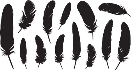 Black feather silhouettes arranged in a scattered pattern on white background black feathers © MDARMAN