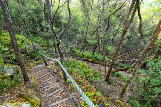 Leven Canyon Trail in Tasmania - Australia