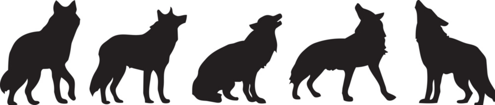 Five black silhouettes of wolves howling in different poses on white background vector illustration design