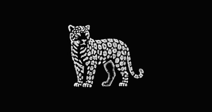 Sketch leopard icon animation - smooth progressive reveal