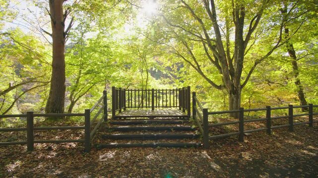 紅葉の名所 秋の鳴子峡の風景　Autumn scenery of Naruko Gorge, a famous spot for autumn foliage.