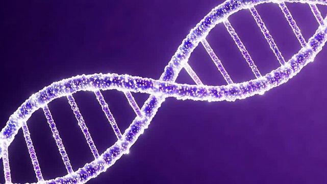 DNA double helix structure
