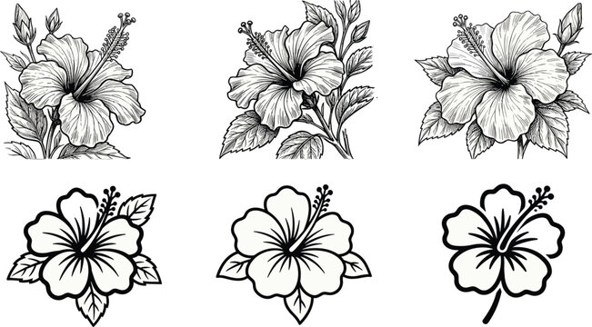 Hibiscus flower vector illustration set featuring detailed hand-drawn sketches and simple bold line art icons for tropical design