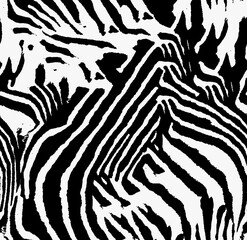 zebra animal skin seamless pattern, black and white tiger stripes texture textile  © anwar
