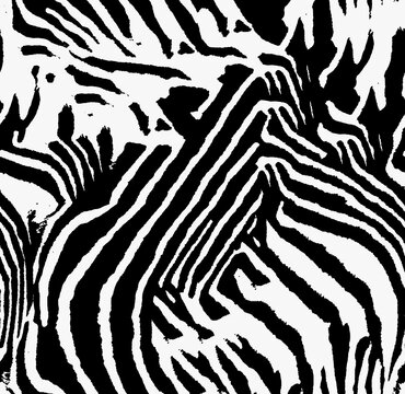 zebra animal skin seamless pattern, black and white tiger stripes texture textile 